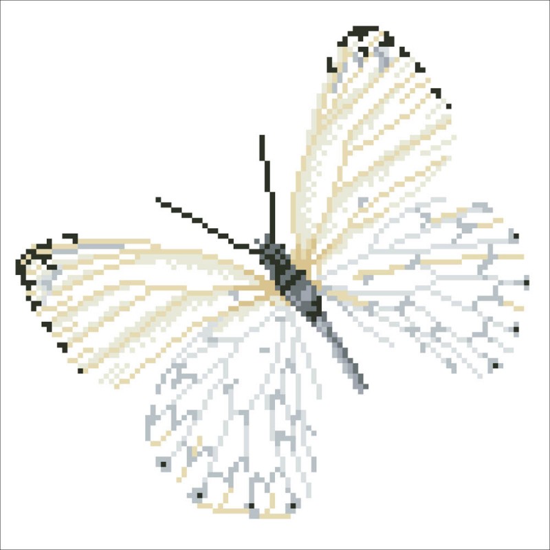 Flutterby White