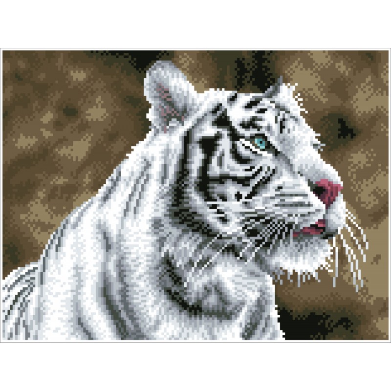 Tiger Blanc