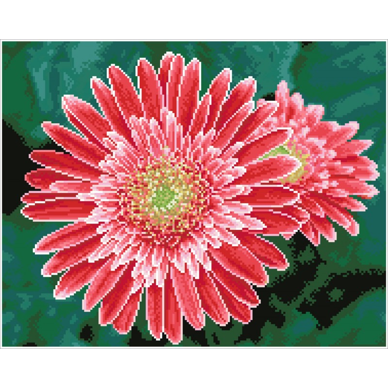 Pink Gerberas  - Pre-Framed Kit