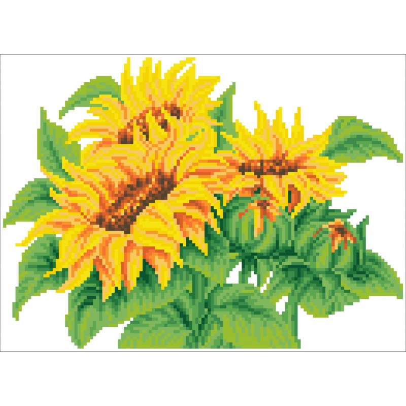 Wistful Sunflowers