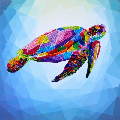 Colorful Turtle