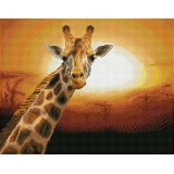 Sunset GiraffeAmboseli National Park, Kenya
